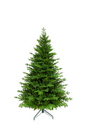Aspen Fir PE Green