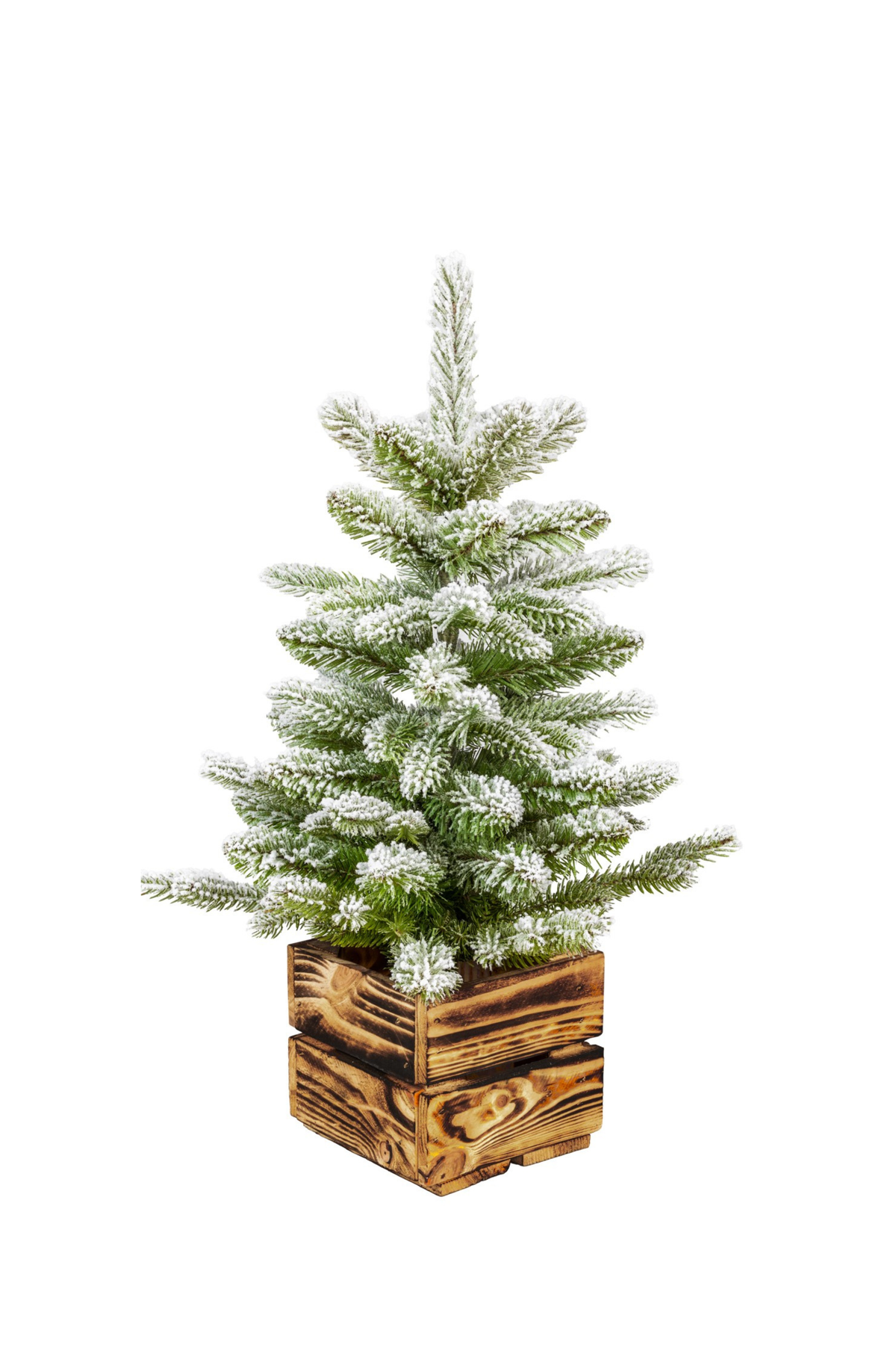 Evertree Prime Snow