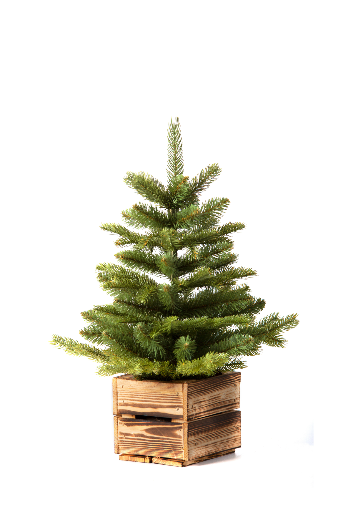 Evertree Prime Green