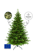 Evertree Premium Green LED