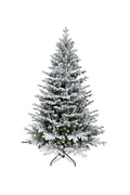 Aspen Fir PE Snow